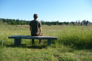 Meditation Meadow